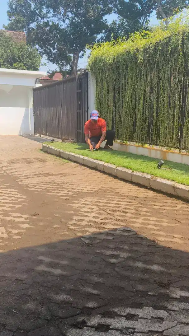 Jasa rawat taman dan kebun.