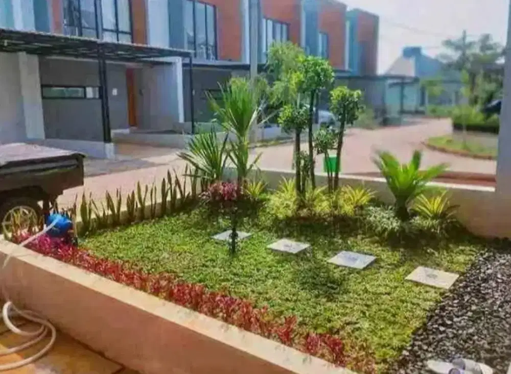 Tukang taman menjual rumput gajah mini dll..