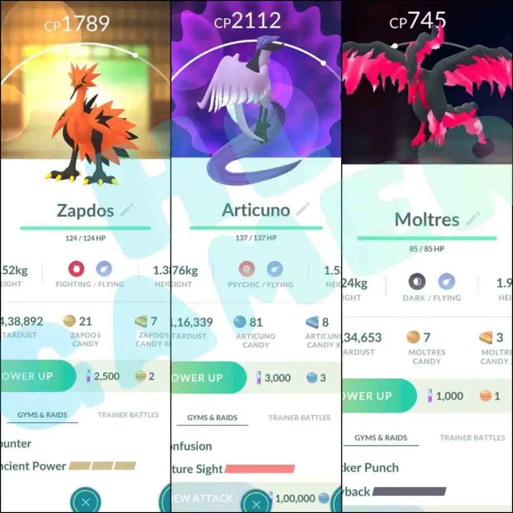 TRIO BIRD LEGENDARY GALAR POKEMON GO