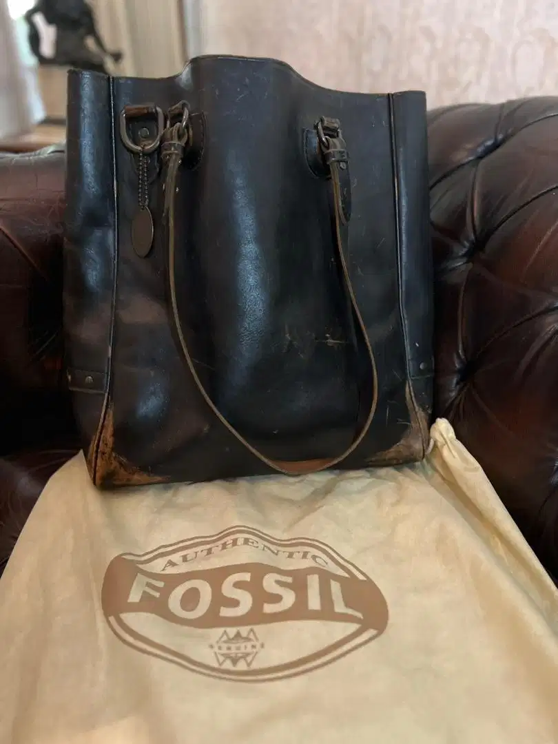 Tas Fossil Authentic