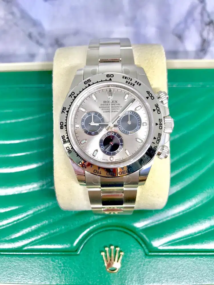 Rolex Daytona All White Gold Grey Dial BNIB 2025