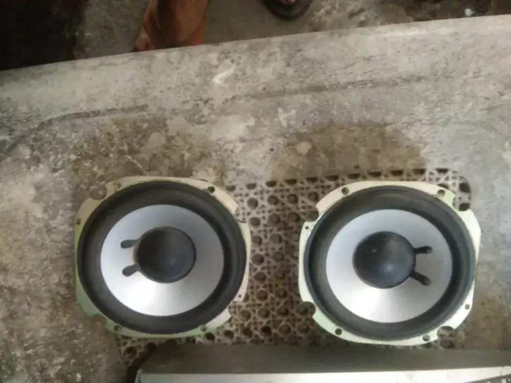 Sepeaker pasif satu pasang 50watt merek philips
