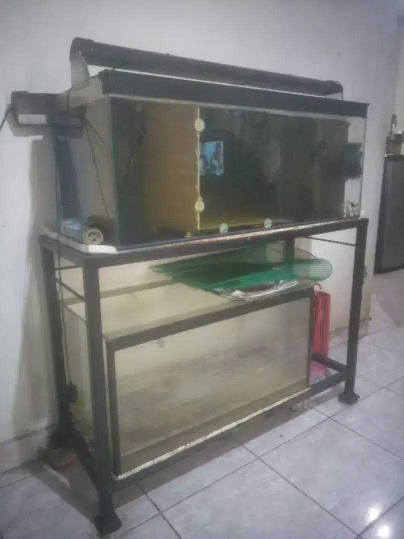 Jual Borong Edisi BU 5 Tank Aquarium Rak Holo Kayu Female Kamfa Hewan Peliharaan 913314249