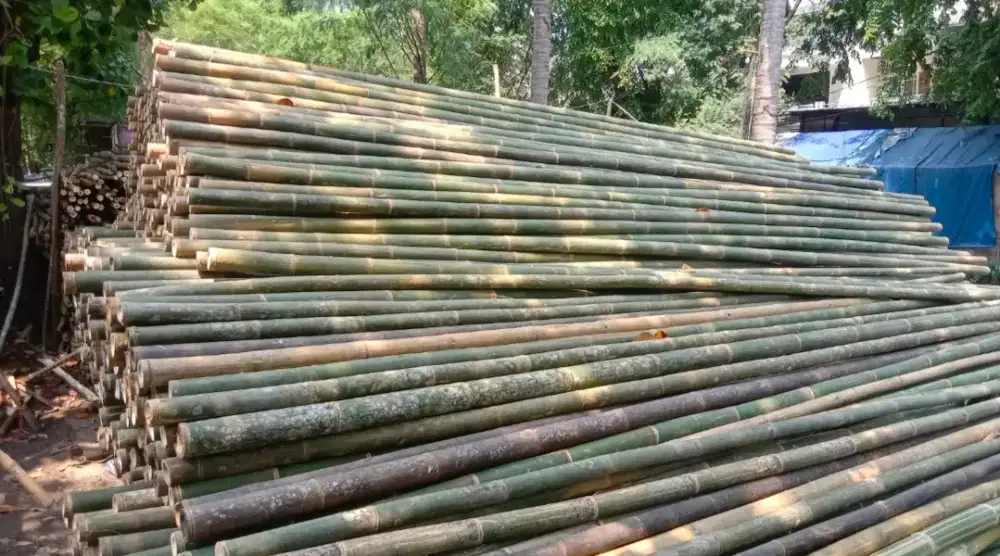 JUAL BAMBU STEGER UKURAN 8/9 PANJANG 6METER