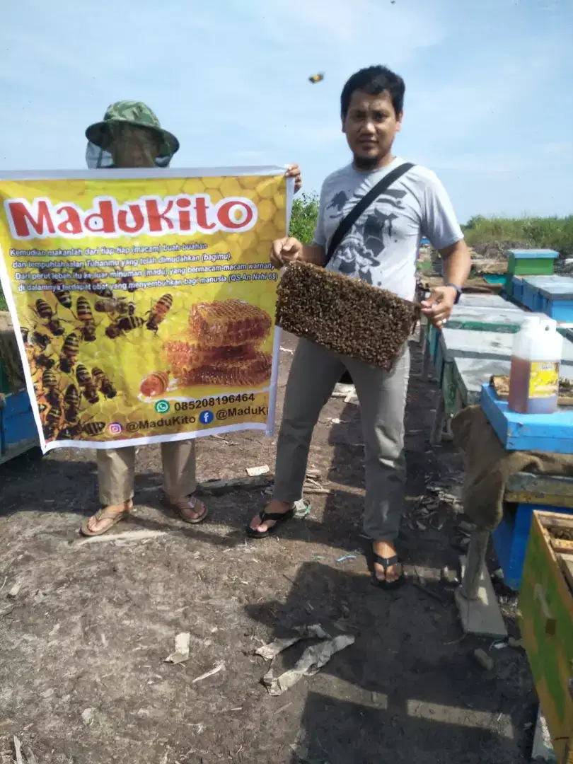 Madu akasia carpa,mangium,klanceng asli/original/murni/tanpa campuran