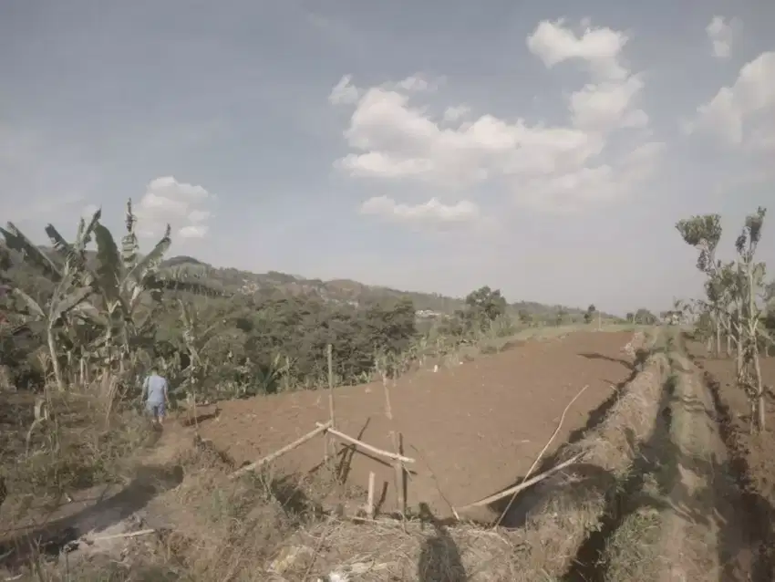 Tanah Murah di Padasuka Atas, Citapen, Cimenyan. view bagus bgt.