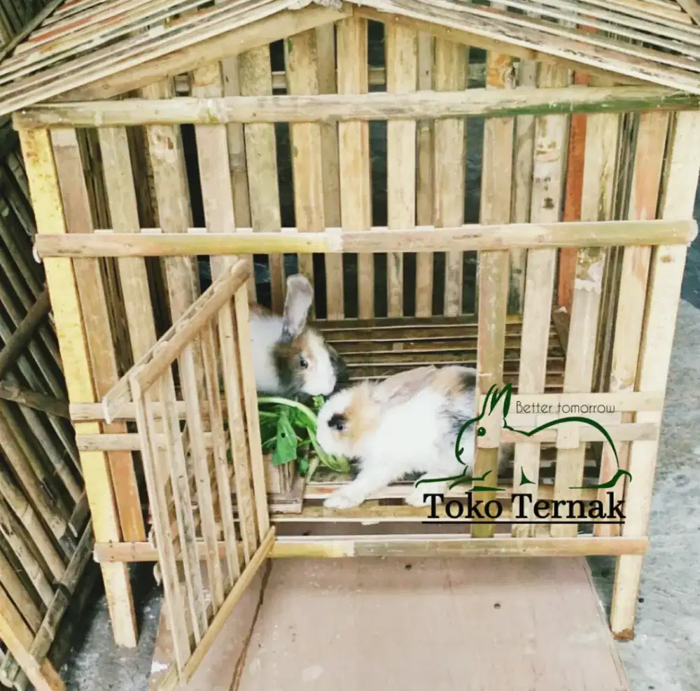 Kandang kelinci dari bambu