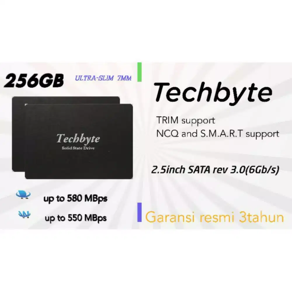 SSD Techbyte 256GB (NEW)