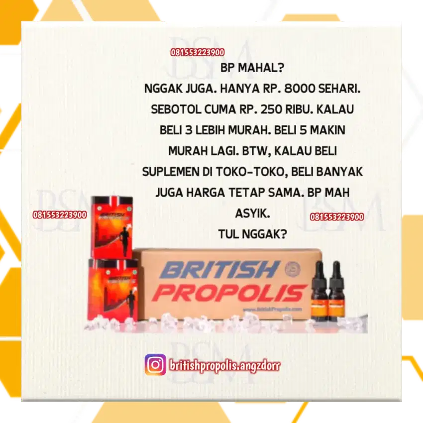 British Propolis - Solusi Kesehatan Alami untuk Diabetes, Kolesterol