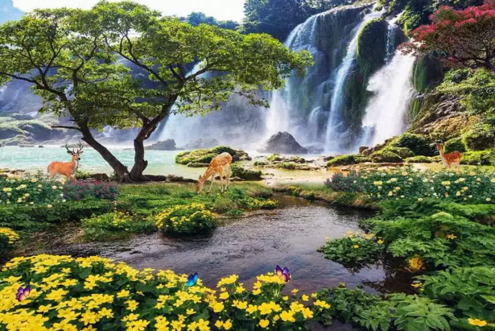 Solusi Wallpaper Dinding