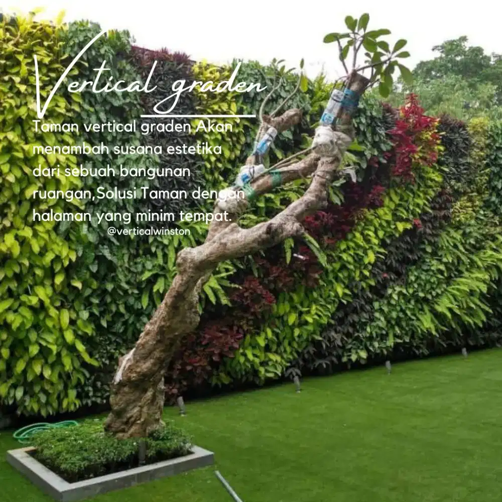 Taman minimalis vertical graden