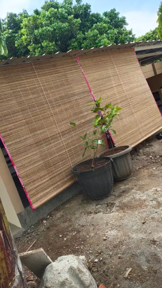 Tirai bambu sawet untuk penghalau panas dan hujan