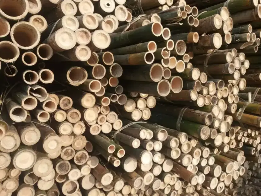 Jual bambu steger dan tiang cor