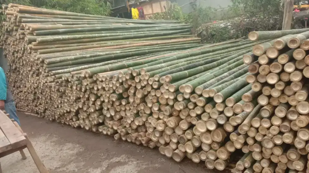 Jual bambu steger 9-10