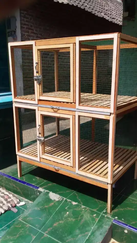 Kandang kelinci bahan kayu mahoni maincoon SBY