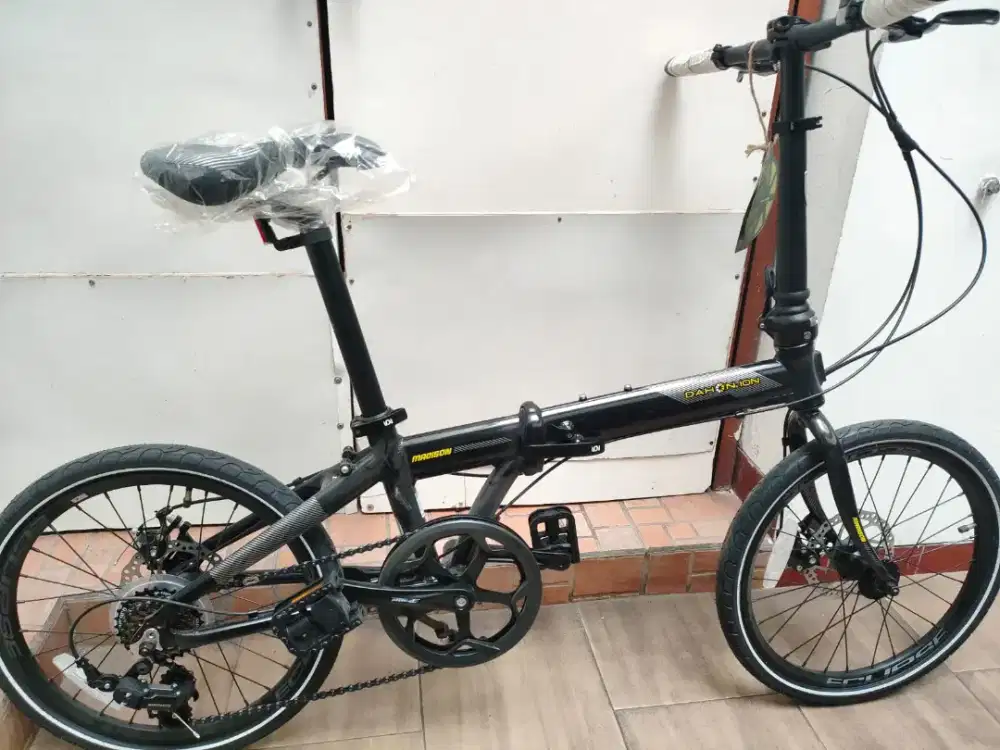 Frame discount dahon ion