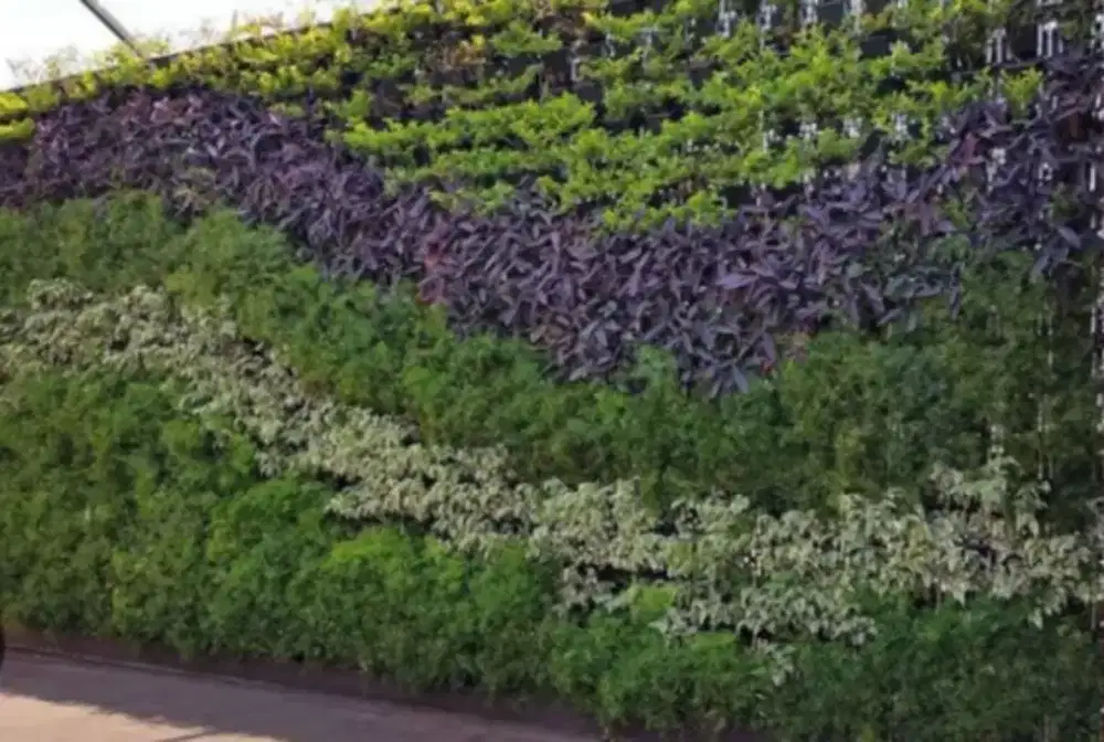 Pembuatan taman pertical garden