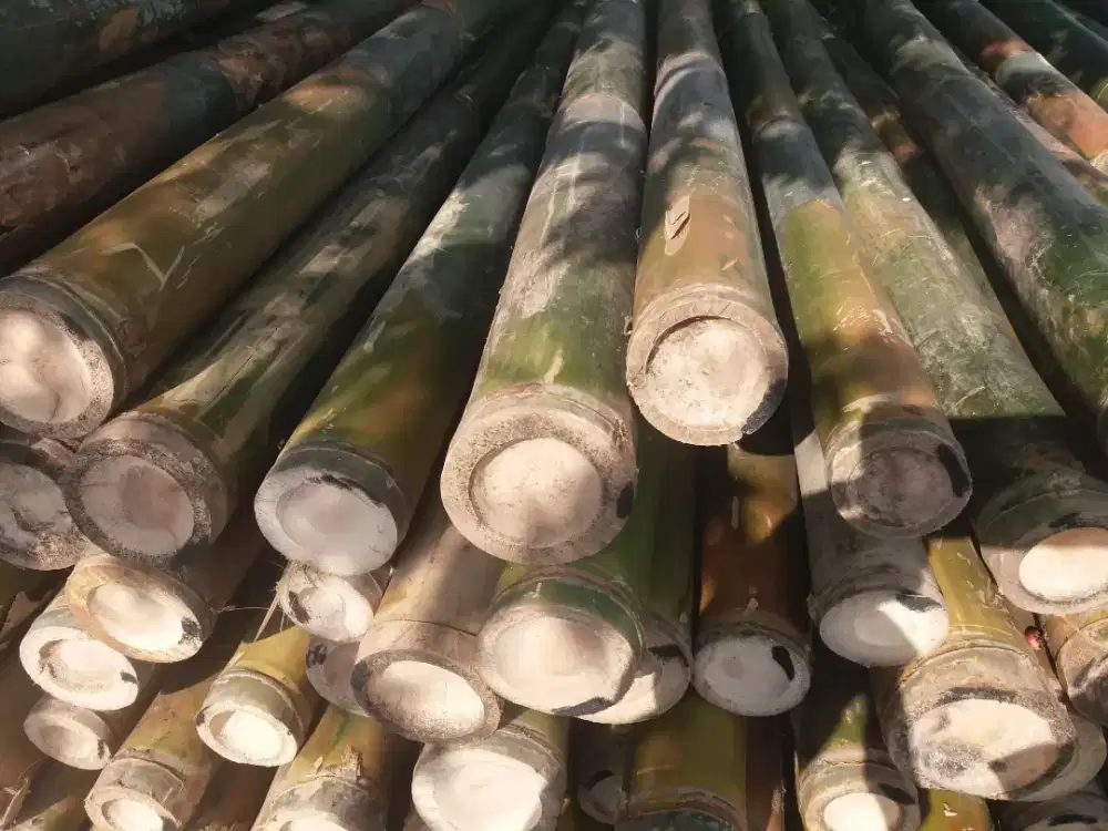 Jual bambu kayu papan kaso2 untuk kontruksi dan lainnya