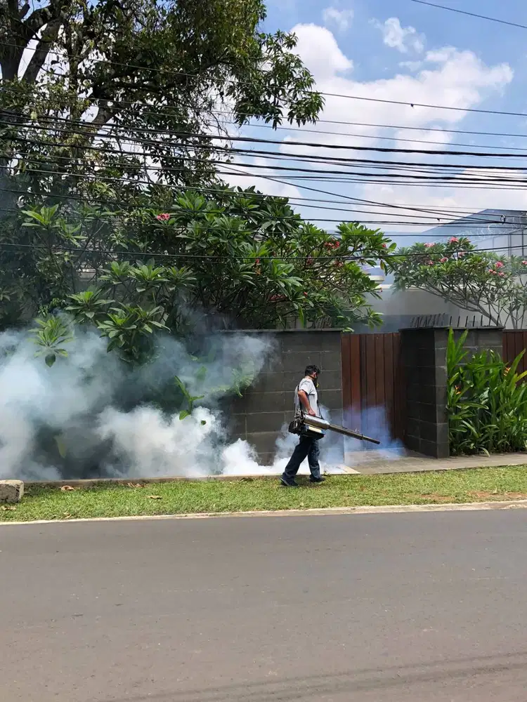 fogging nyamuk demam berdarah