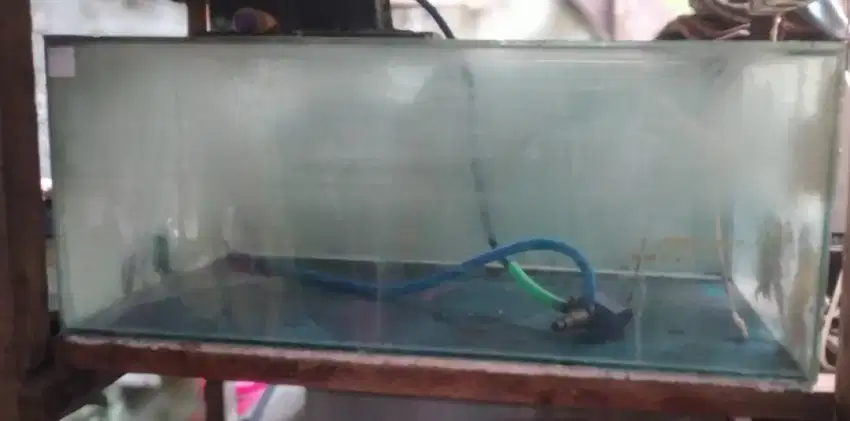 DIJUAL AQUARIUM SATUAN