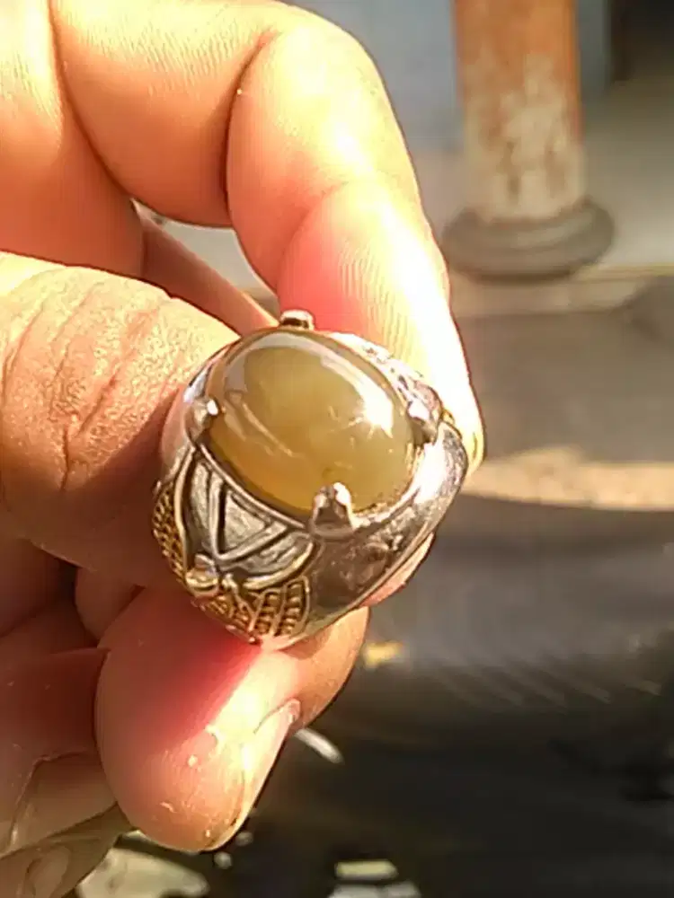 indcrase bio solar  ( 161007 )