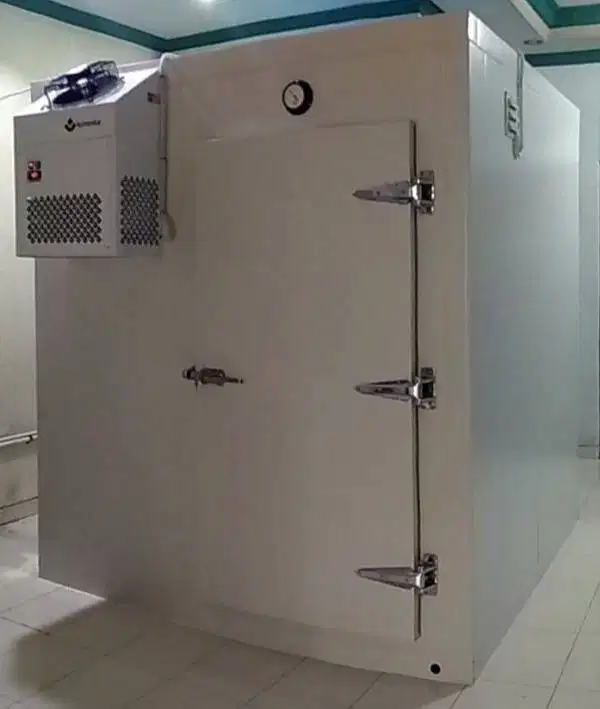 Koronka Plug-in Cold Room Chiller (KPCR-245-C)