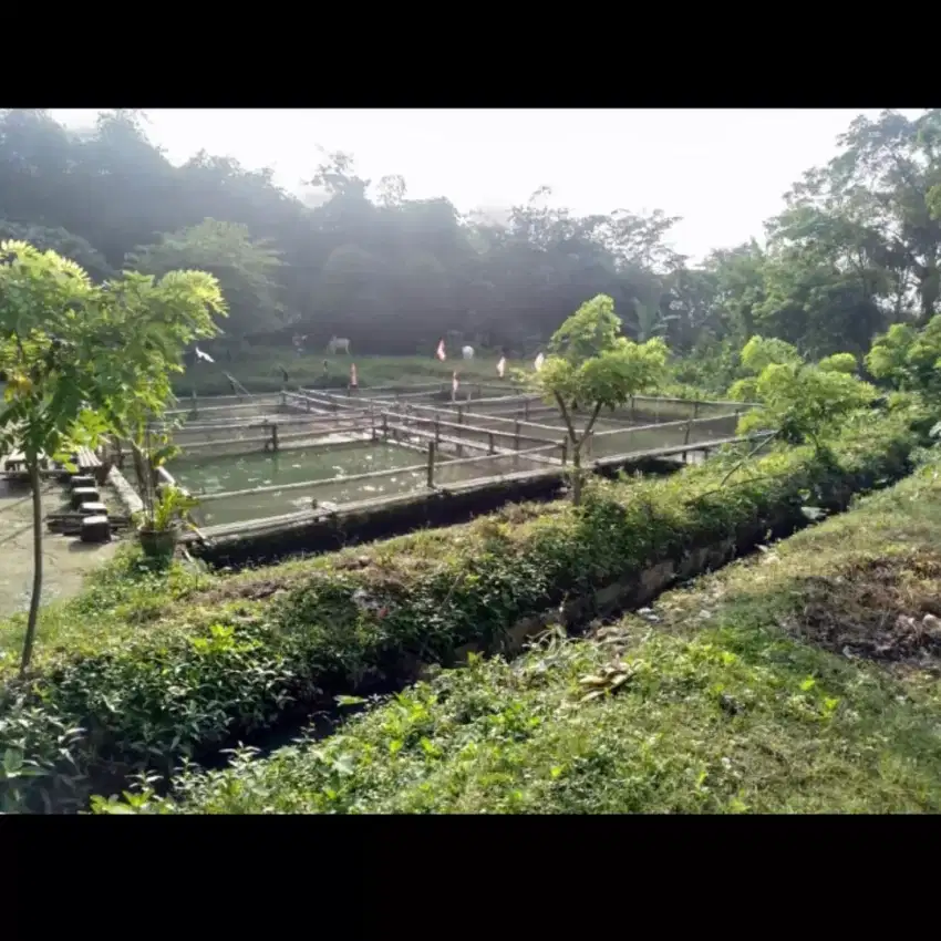 DIJUAL Tanah Darat Luas keseluruhan 1818 M2
