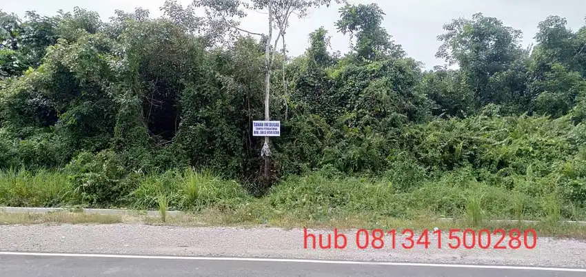 Tanah dijual murah di kendari