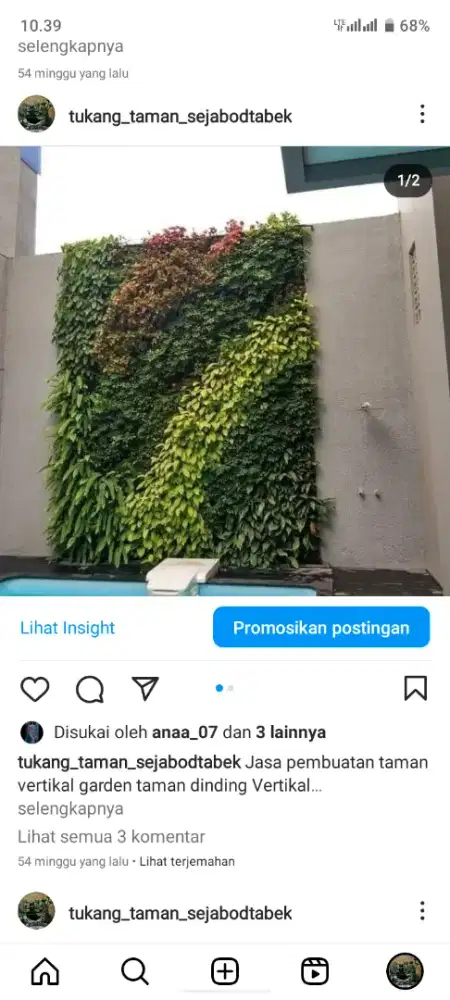 Pembuatan taman vertikal garden/tukang taman hias/tukang taman