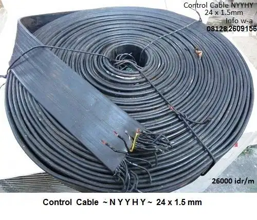 Control  Cable  N Y Y H Y  24 x 1.5