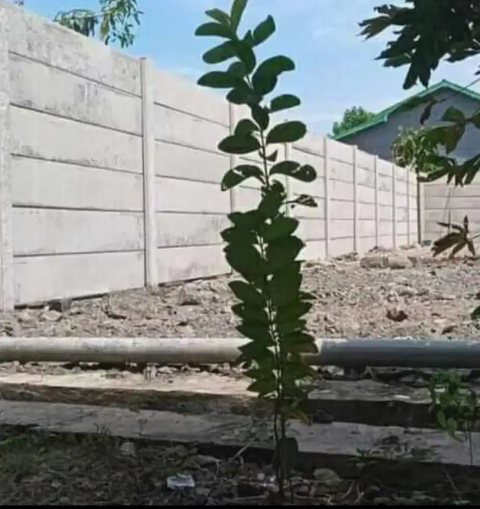 Pagar beton/panel