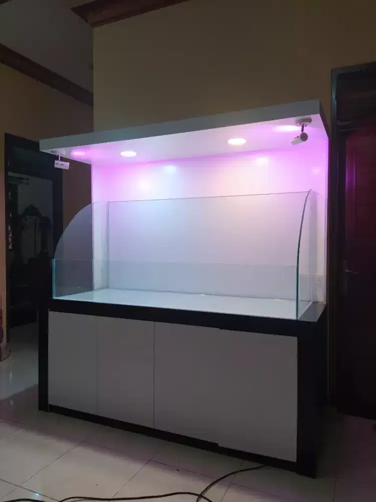 paludarium murah