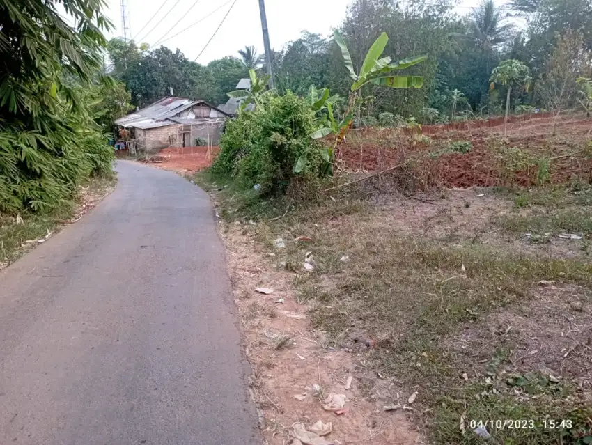 Jual Kebun Durian bisa utk Peternakan Ayam Sapi Domba parung ciseeng