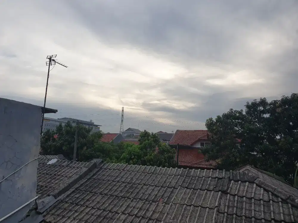 Dibutuhkan ART khusus perempuan harian di rawa lumbu