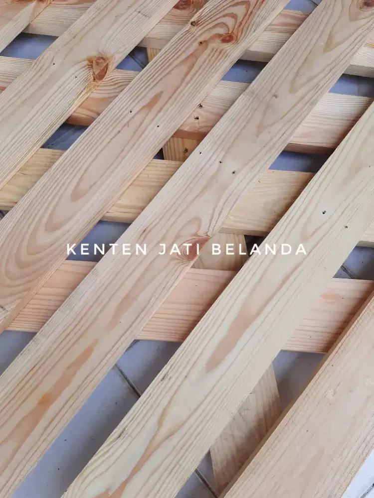 KAYU JATI BELANDA