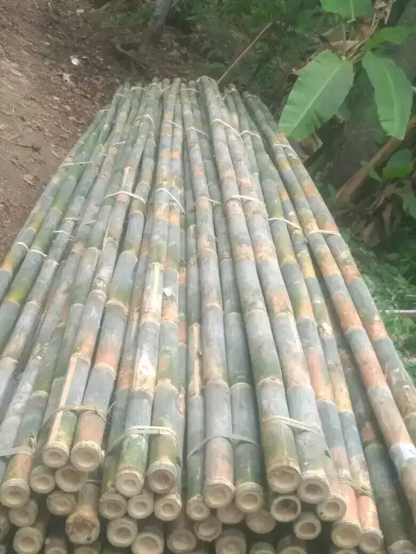 Bambu untuk proyek