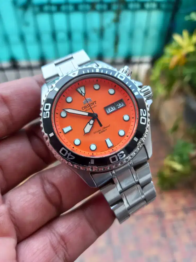 Orient ray 2024 raven 1