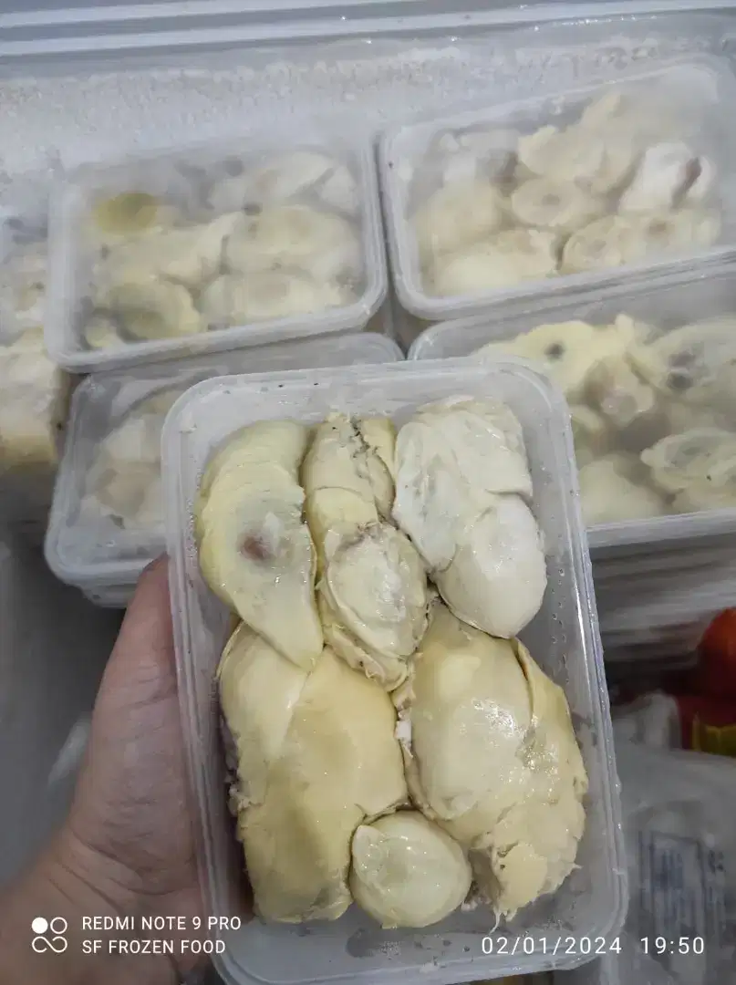 Durian Sibolga box 500gram