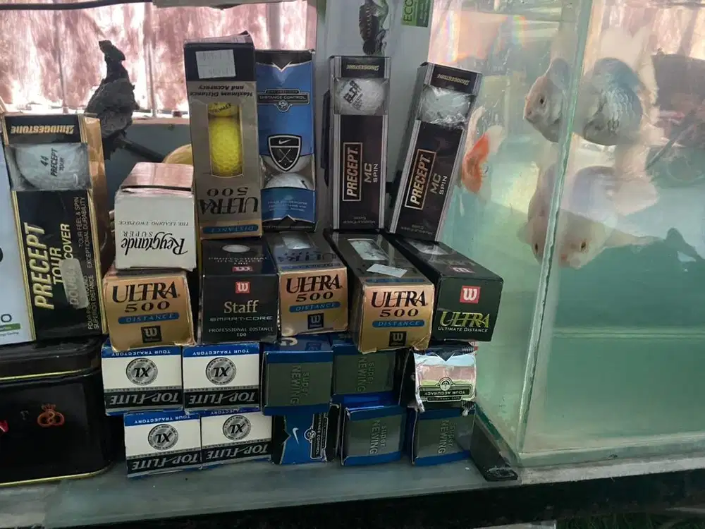 Bola Golf baru isi 3