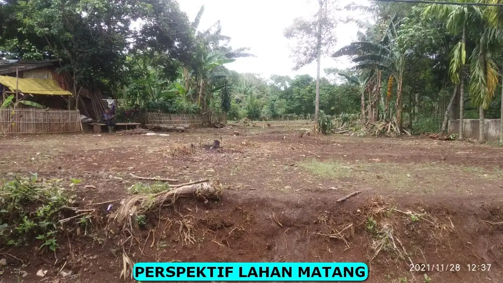 Bambu Apus - Dijual Tanah & Cari Tanah Murah Di Indonesia - OLX.co.id