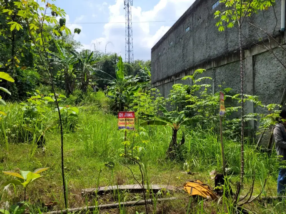 TANAH BAGUS UTK KOS-KOS'AN.