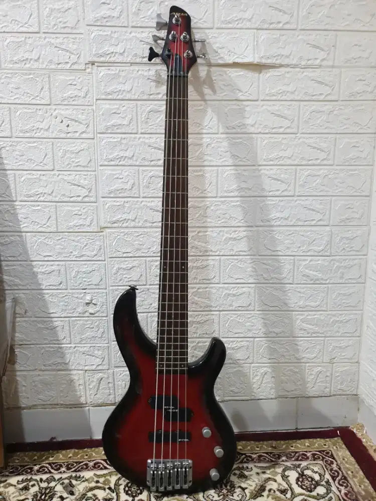 Bass Aria Pro IGB 50 5 String Bass
