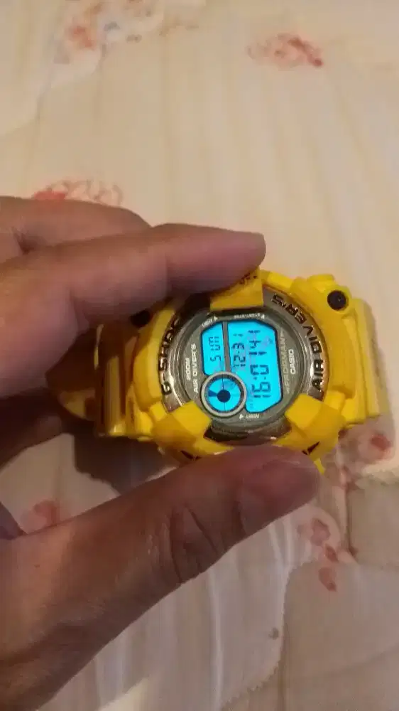 dw 8250