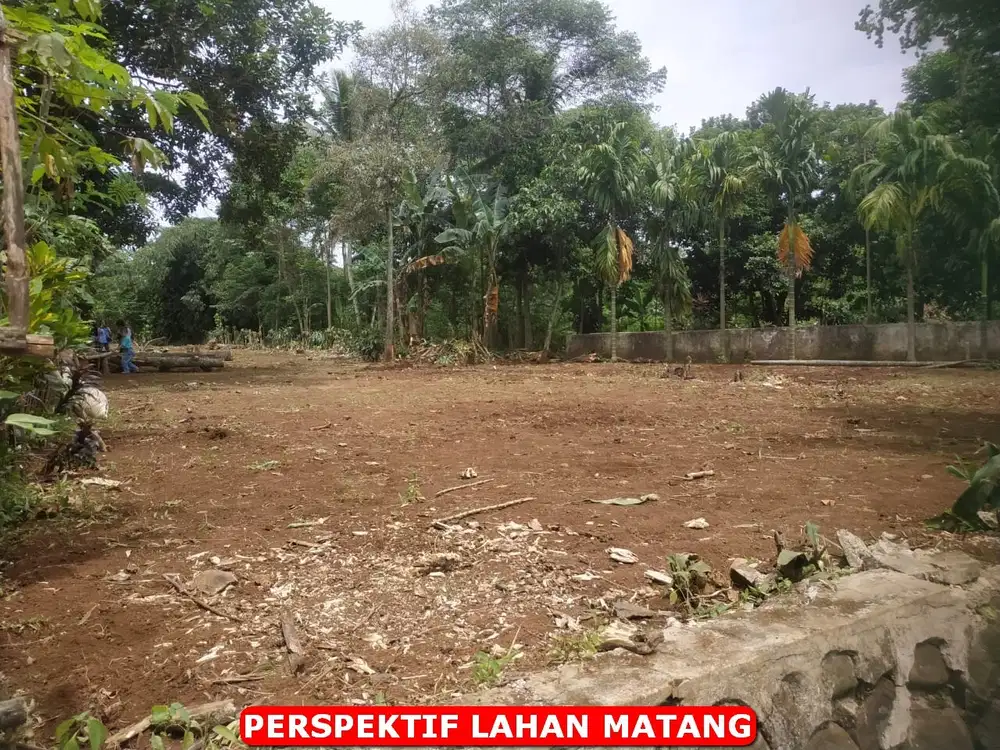 Bambu Apus - Dijual Tanah & Cari Tanah Murah Di Indonesia - OLX.co.id