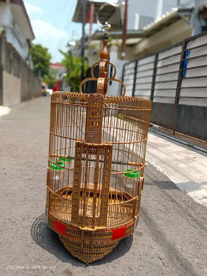 Sangkar anis / kandang anis motif bambu