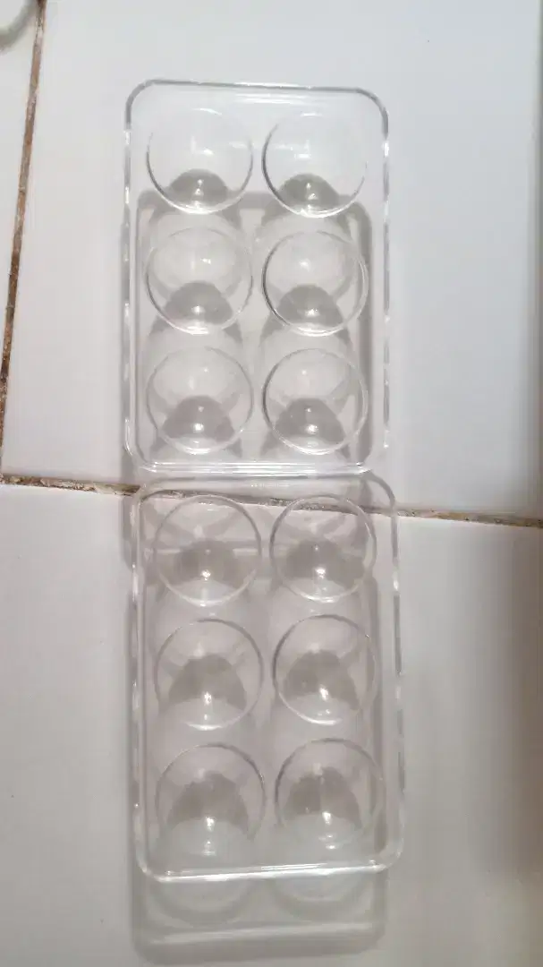 Tempat telur kokoh