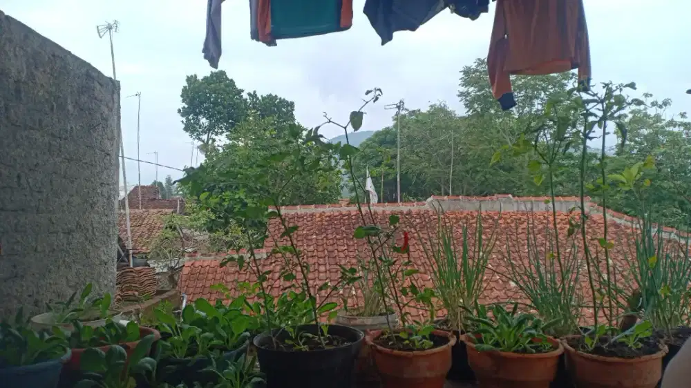 Saya sedang mencari pekerjaan,sebagai driver