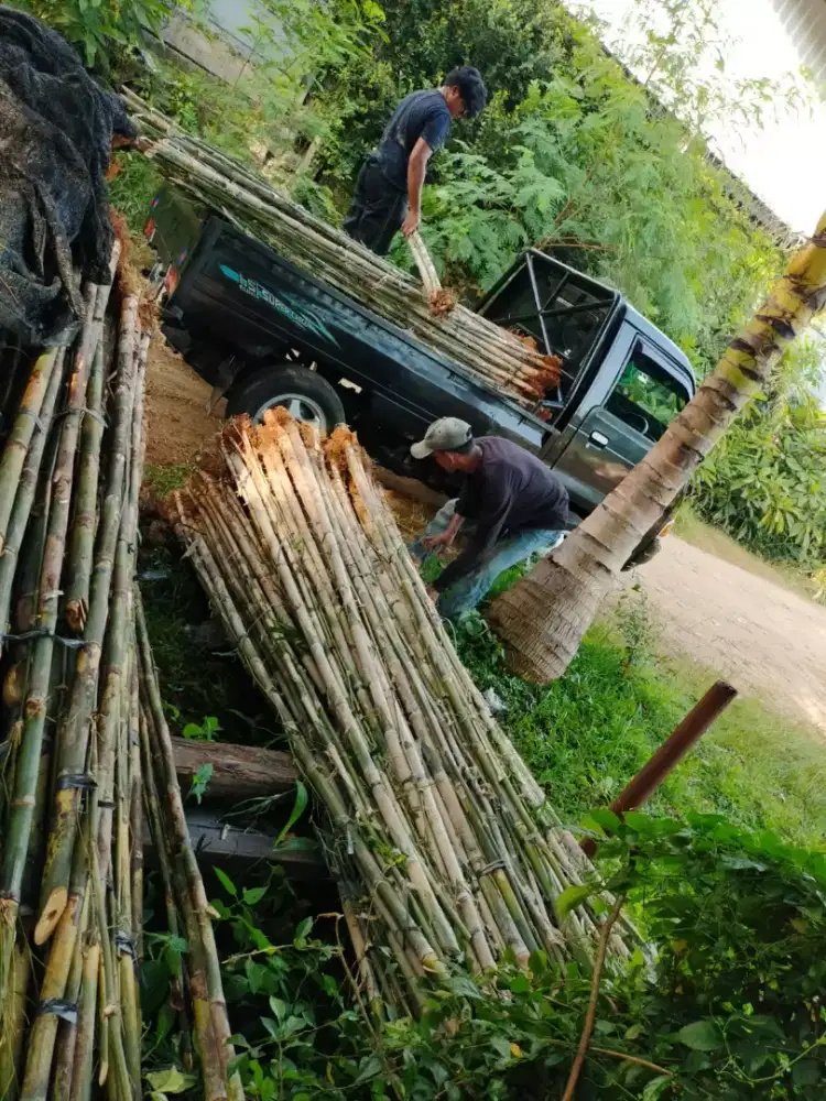 Pembuatan taman