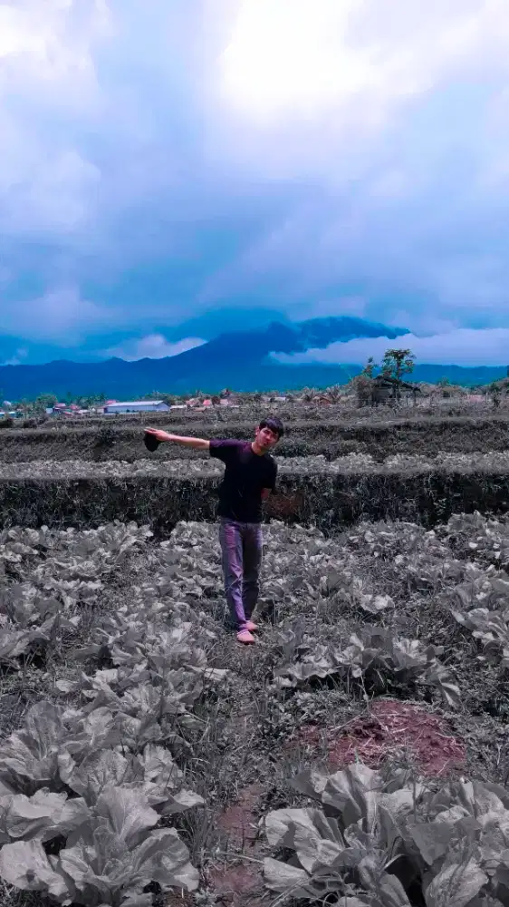 Driver Sim A, Freelance/karyawan OkE, Siap antar kapanpun & kemanapun