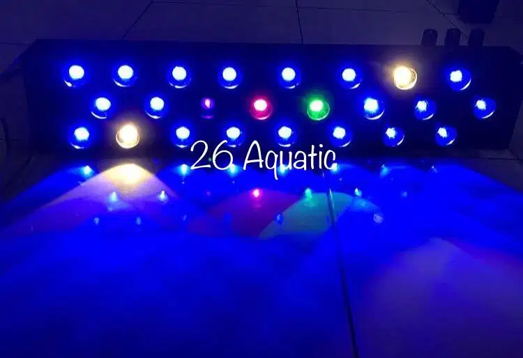 Jasa Pembuatan Lampu Aquarium Laut